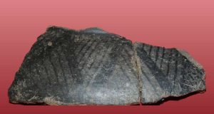 Do Outeiro à Planície: a Idade do Bronze em Beringel