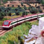 A CP promove nova edição das Amendoeiras em Flôr!