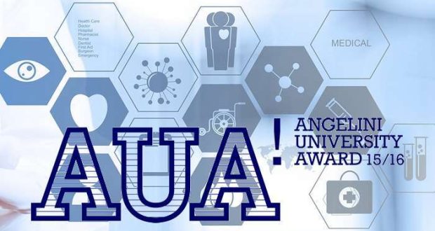Angelini University Award