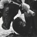 PAN contra as garraiadas Académicas