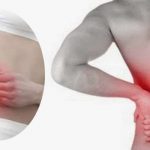 Excesso de proteína animal pode causar pedras nos rins!