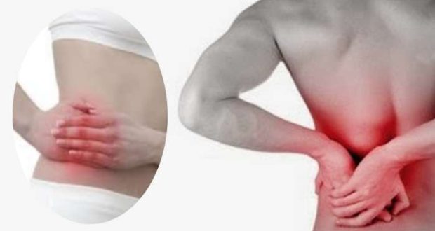 Excesso de proteína animal pode causar pedras nos rins!