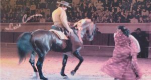 II Gala Equestre de Elvas