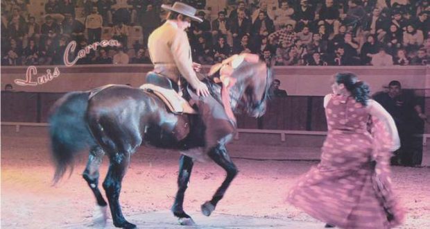 II Gala Equestre de Elvas