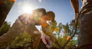 Parques de Sintra anuncia nova ação de Voluntariado