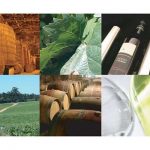 Caves Messias - Vinhos Premiados