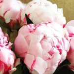 Viagem à volta do mundo no Museu do Oriente