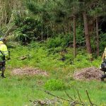 PAN denuncia destruição ambiental - Crd_img_SOS Estuário do Douro