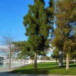 Festival de Contos do Mundo em Beja | crd_CMB