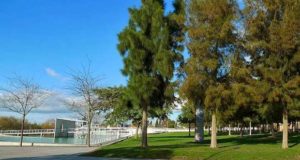 Festival de Contos do Mundo em Beja | crd_CMB