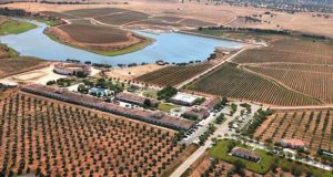 Especial Vindimas no Vila Galé Clube de Campo