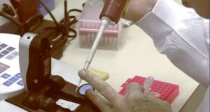 Sábados Perversos no Canal Crime + Investigation