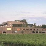 Vindimas no Monverde Wine Experience Hotel em Amarante