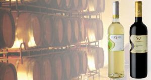 Casa Santa Vitória lançou duas novas colheitas