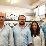 Investigadores portugueses desenvolvem poliéster insaturado