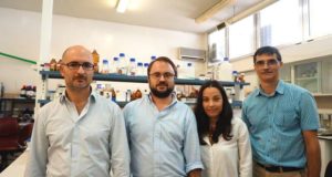 Investigadores portugueses desenvolvem poliéster insaturado