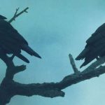 A Célula Adormecida de Nuno Nepomuceno