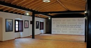 “Travessias e Peregrinações” em exposição na Casa do Sal