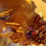 Bruno Saavedra expõe “Flavors” na Restart em Lisboa