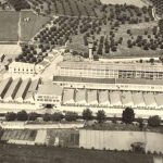 Memória da Fábrica Olaio no Museu de Cerâmica de Sacavém