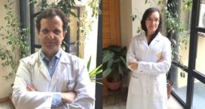 Investigadores da UC integram projeto Brasileiro