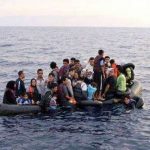 TripAdvisor apela à solidariedade e apoio aos refugiados