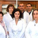 Investigadores da UC estudam doença do pinheiro