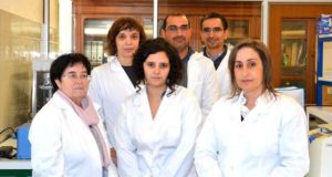 Investigadores da UC estudam doença do pinheiro