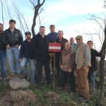 Serra de Monchique retoma novo ciclo de vida
