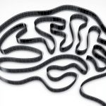 Candidaturas ao Prémio Curtas – Esclerose Múltipla