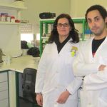 Sexo feminino e diabetes influenciam a Doença de Alzheimer