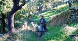Ciclo de Passeios Natureza em São Brás de Alportel