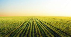 A SPEA manifesta-se no lançamento da nova PAC