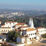 Exposição de Camélias e Orquídeas no Palácio Nacional de Sintra