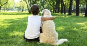 Animais de Estimação potenciam o desenvolvimento das crianças