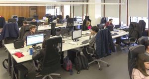 A IT Sector vai admitir 40 colaboradores até final de Maio