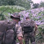 Festival IndieLisboa 2017 by Allianz de 3 a 14 de Maio