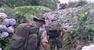 Festival IndieLisboa 2017 by Allianz de 3 a 14 de Maio