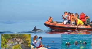 3ª Edição da Algarve Nature Week de 5 a 14 de maio