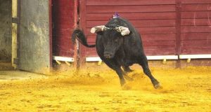 Primeira corrida de Toiros da temporada em Elvas