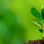 A SPMI apela a uma estratégia de combate à redução dos gases