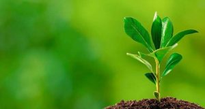 A SPMI apela a uma estratégia de combate à redução dos gases