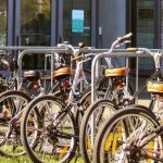 A NOVA de Lisboa no Top 50 das Universidades com -50 anos