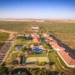 Experiência de enoturismo no Vila Galé Clube de Campo