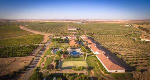 Experiência de enoturismo no Vila Galé Clube de Campo