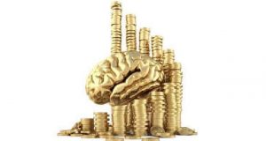 Corkbrick Europe financiou-se na crowdfunding Seedrs