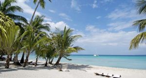 A MSC Cruzeiros atualiza os itinerários das Caraíbas