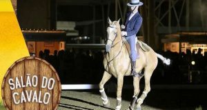 Salão do Cavalo em Beja, de 5 a 8 de Outubro
