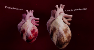 Gema Digital apresenta solução sobre o envelhecimento do coração