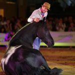 Cavalo Lusitano foi estrela na RuralBeja